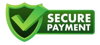 securepayment